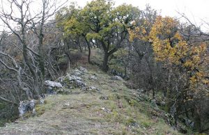 Érdemes végigjárni: Vértesi Panoráma tanösvény
