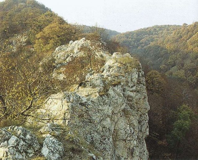MiertVertesaVertesCikk