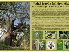 A Vértes természetvédelmi területei: Vajal-forrás és környéke