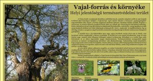 A Vértes természetvédelmi területei: Vajal-forrás és környéke