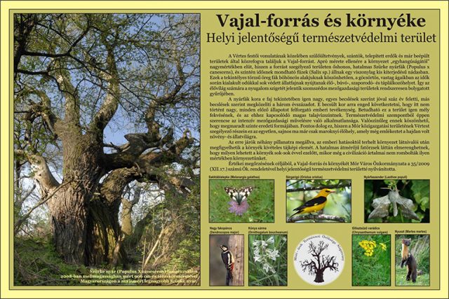Vajalforráséskörnyéke
