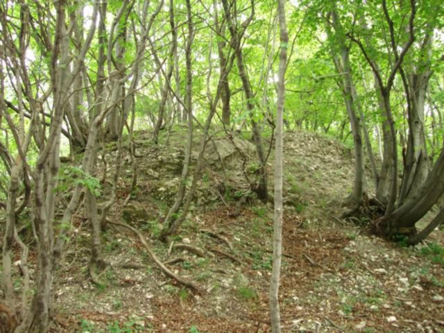 oroszlankovara
