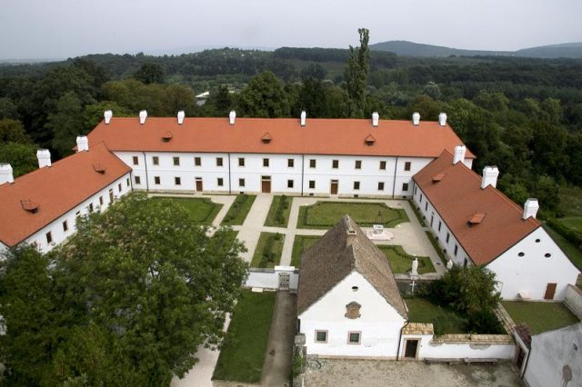 MajkSajtofotoForster