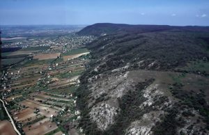 A Vértes vadonában – „Amióta nincs erdő a Móri árokban…”