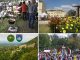 Tavaszi programajánlatok a Vértesben és környékén