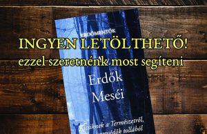 Mesekönyvet tesz ingyenesen elérhetővé az Erdőmentők Alapítvány