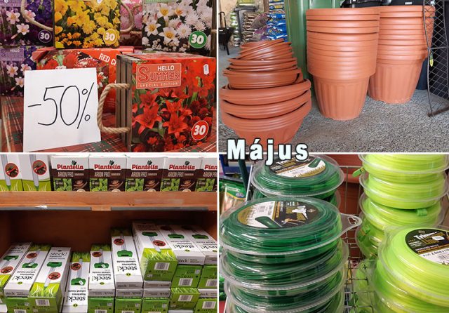 MajusiAkcio