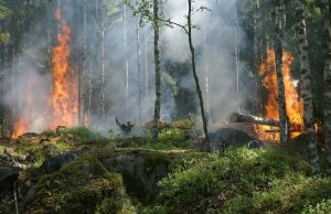 Meteorológiai szolgálat: Magyarországon nem emelkedett a háttérsugárzás a Csernobil melletti erdőtűz miatt