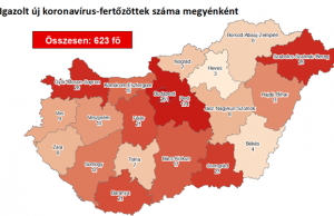 Meghalt öt beteg, 623-ra nőtt a fertőzöttek száma, 10 668-an vannak karanténban