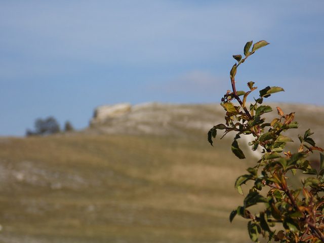 SAM_0521