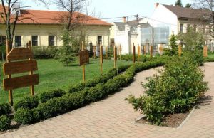 Kisbéri Zenés Nyári Esték 2020: Program