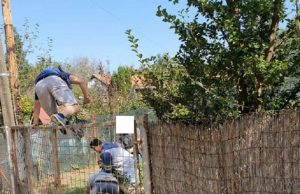 Elfogták a lopás miatt körözött férfit – Videóval