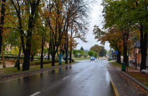 Móri baleset szemtanúit keresik a rendőrök