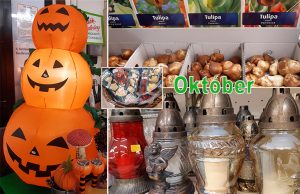 A Móri Mezőgazdasági Bolt októberi ajánlatai