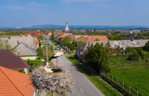 Csaknem 4500 fészektartóval várja az E.ON a gólyákat
