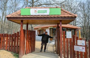 Újra kinyitott a Pákozd-Sukorói Arborétum és Vadaspark