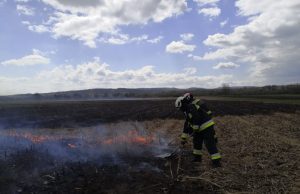 Tarlótűzhöz vonultak ma a bodajki és móri tűzoltók