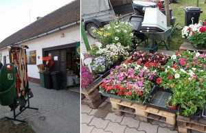 Virágvásár a Kisvakond Gazdaboltban – Képgaléria