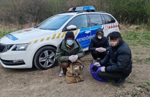 Vértesacsa külterületén fogtak el három külföldi férfit