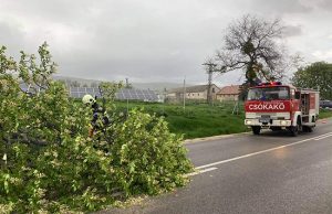 Fákat döntött ki a szél