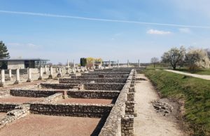 Nyitnak a Szent István Király Múzeum kiállítóhelyei