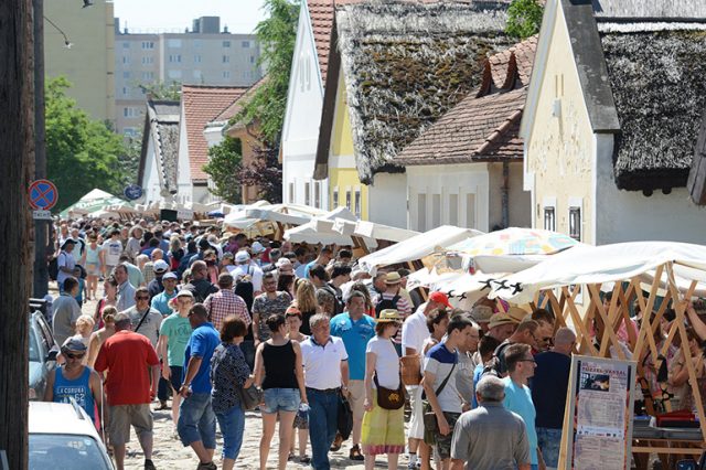 tuzzelvassal2017OKKFehervar
