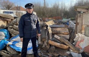 Fát loptak, másfél óra alatt elfogták őket