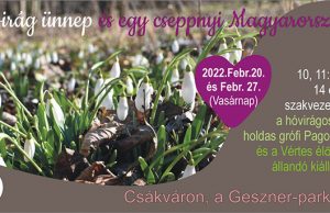 Hóvirág ünnep és egy cseppnyi Magyarország