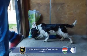 Kábítószer-kereskedő őrizetben (+Videó)