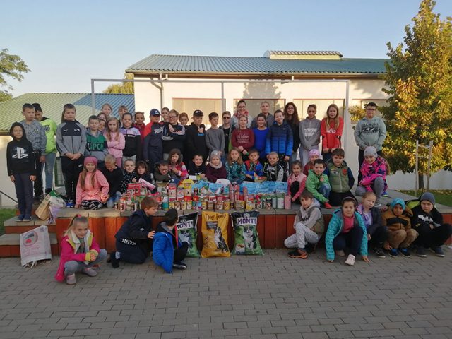 00001aaagyujtesallatoknakpetofi2022b