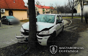 Élő fa állította meg az ittas sofőrt