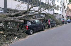 Fejér: 478 segélyhívás, 319 beavatkozás, 50 épületkár a szombati szélvihar miatt