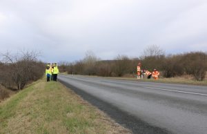 Vadriasztó prizmáka 811-es főúton